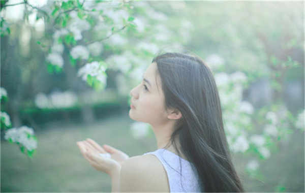 托克逊验血查男女几周可以验(验血查男女结果图)
